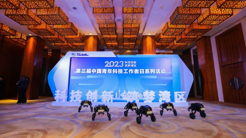 数据湖仓一体架构：构建高效数据处理的基石**